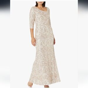 Ignite Evenings Elegant Gown Size 18